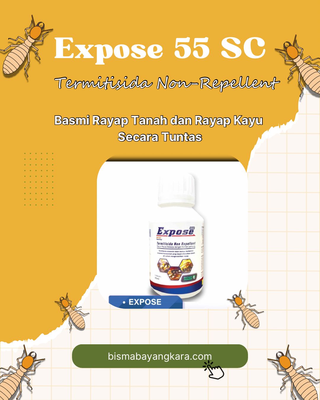 EXPOSE 55 SC - Produk Anti Rayap: Termitisida Non-Repellent Premium untuk Basmi Rayap Tanah dan Kayu Secara Tuntas di Surabaya, Sidoarjo, Gresik, dan Madura - Jasa Pest Control Surabaya