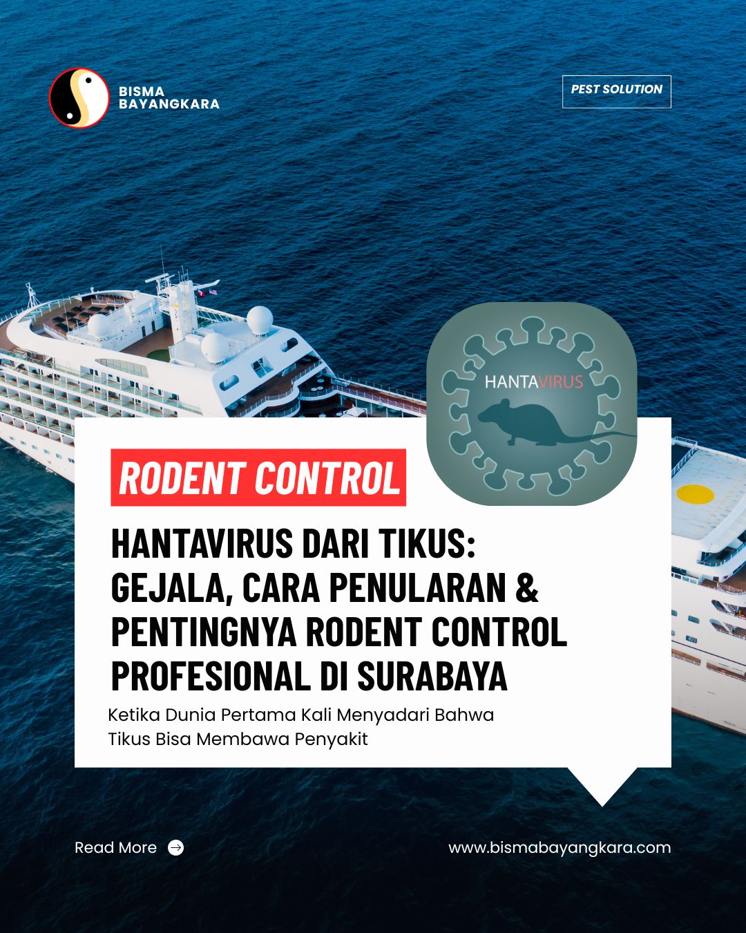 Hantavirus dari Tikus: Gejala, Cara Penularan & Pentingnya Rodent Control Profesional di Surabaya - Jasa Pest Control Surabaya