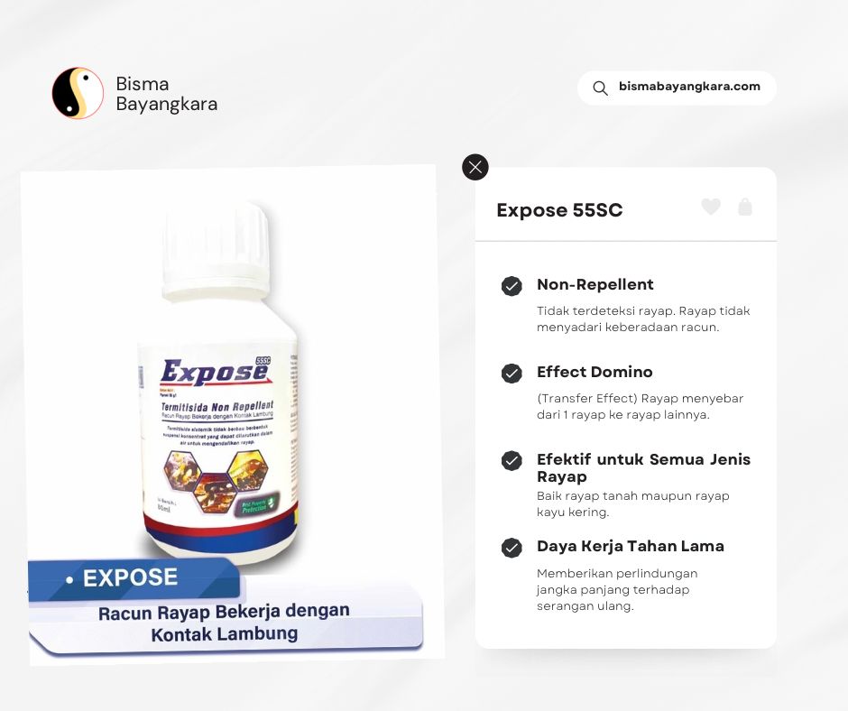 Expose 55SC: Termitisida Non-Repellent Ampuh Basmi Rayap Hingga Tuntas - Jasa Pest Control Surabaya